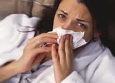 Imagen ilustrativa del artículo Jengibre para Prevenir Gripes y Resfríos rápidamente